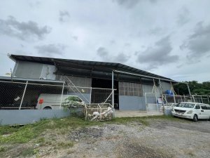 Galera en Venta | El Naranjal, Pacora