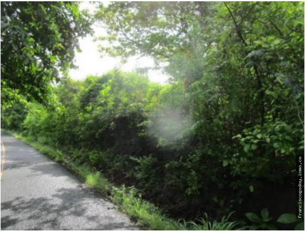 Terreno en Venta en Pedasi