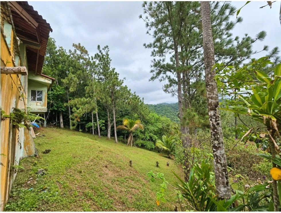 Casa à Venda em Cerro Azul