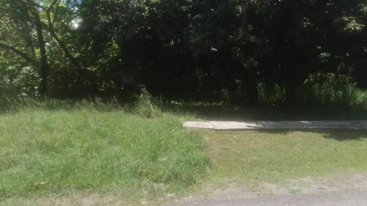 Terreno à Venda em San Carlos