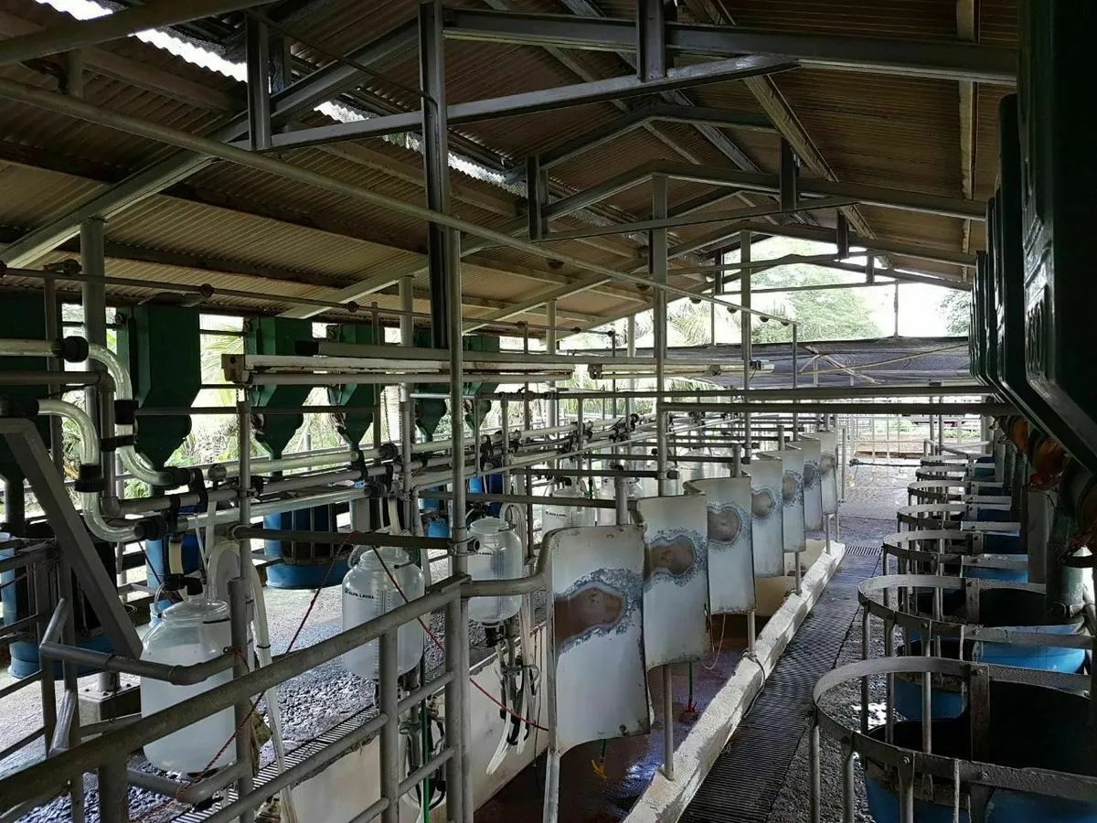 FINCA LECHERA EN EL GUAYABAL