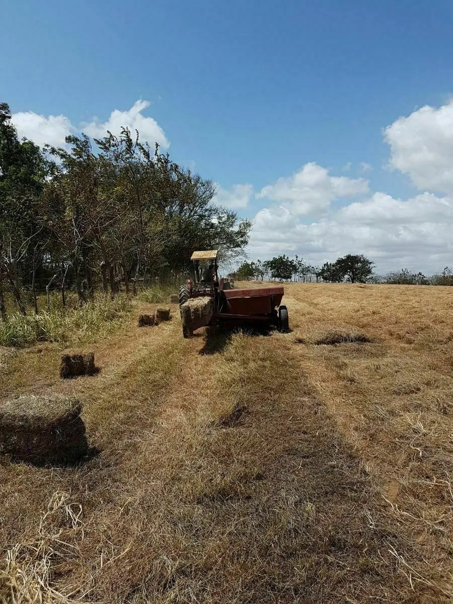 Land/Farm for sale in Los Santos