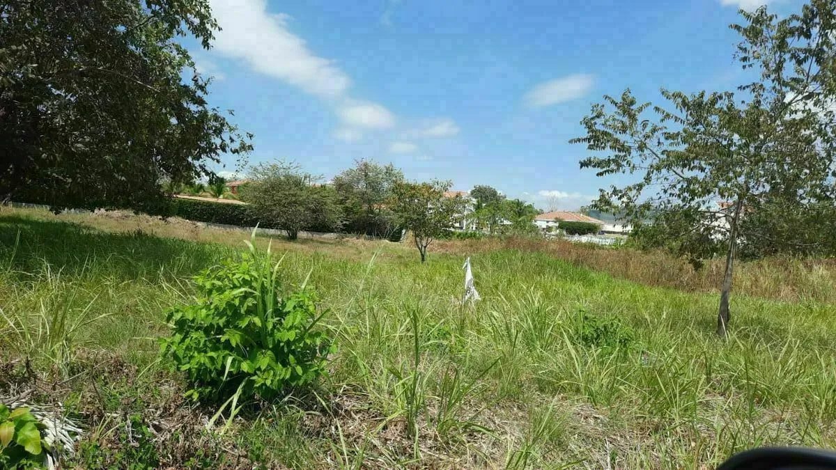 VENTA EN MEJOR PARTE DE CORONADO (OPCION COMPRAR MITAD)