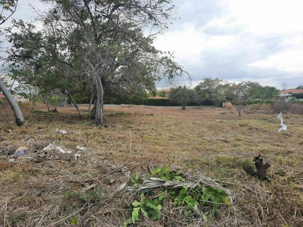 Terreno à Venda em Chame