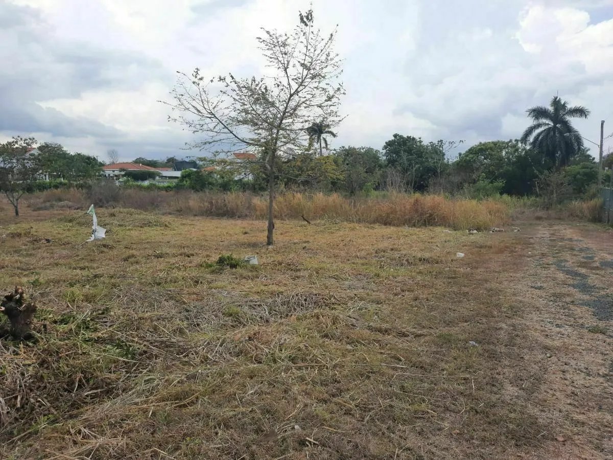 Terreno à Venda em Chame