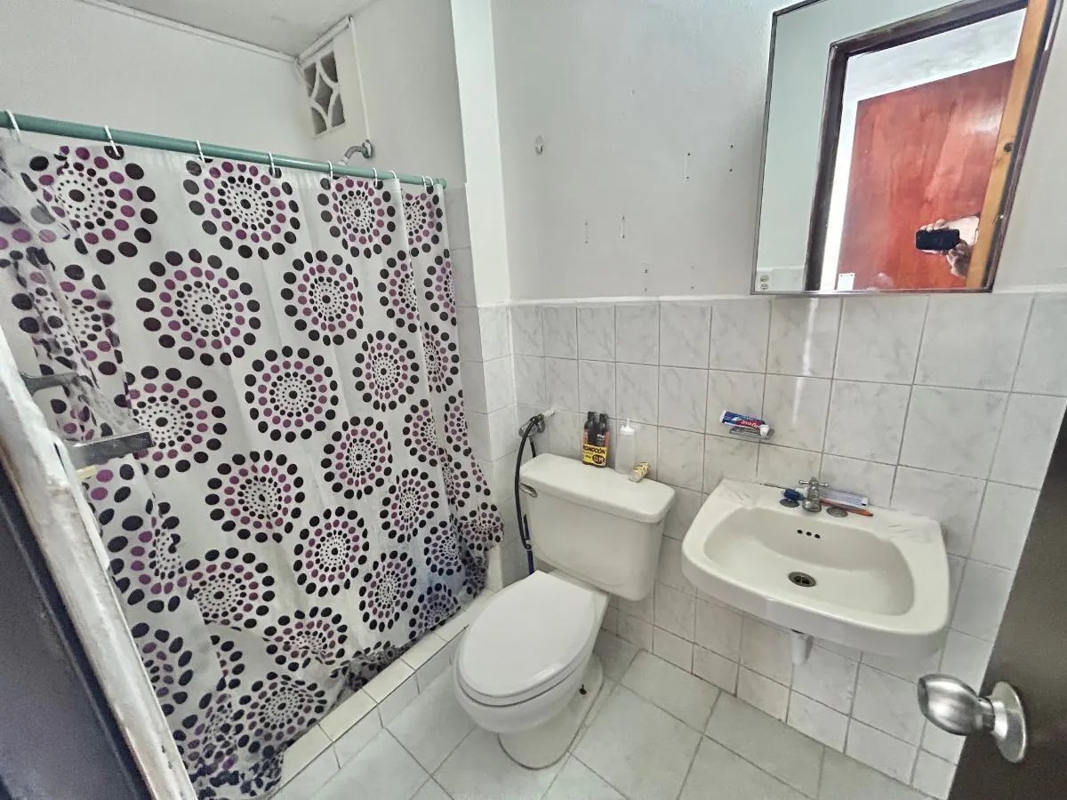 Apartamento à Venda em Parque Lefevre