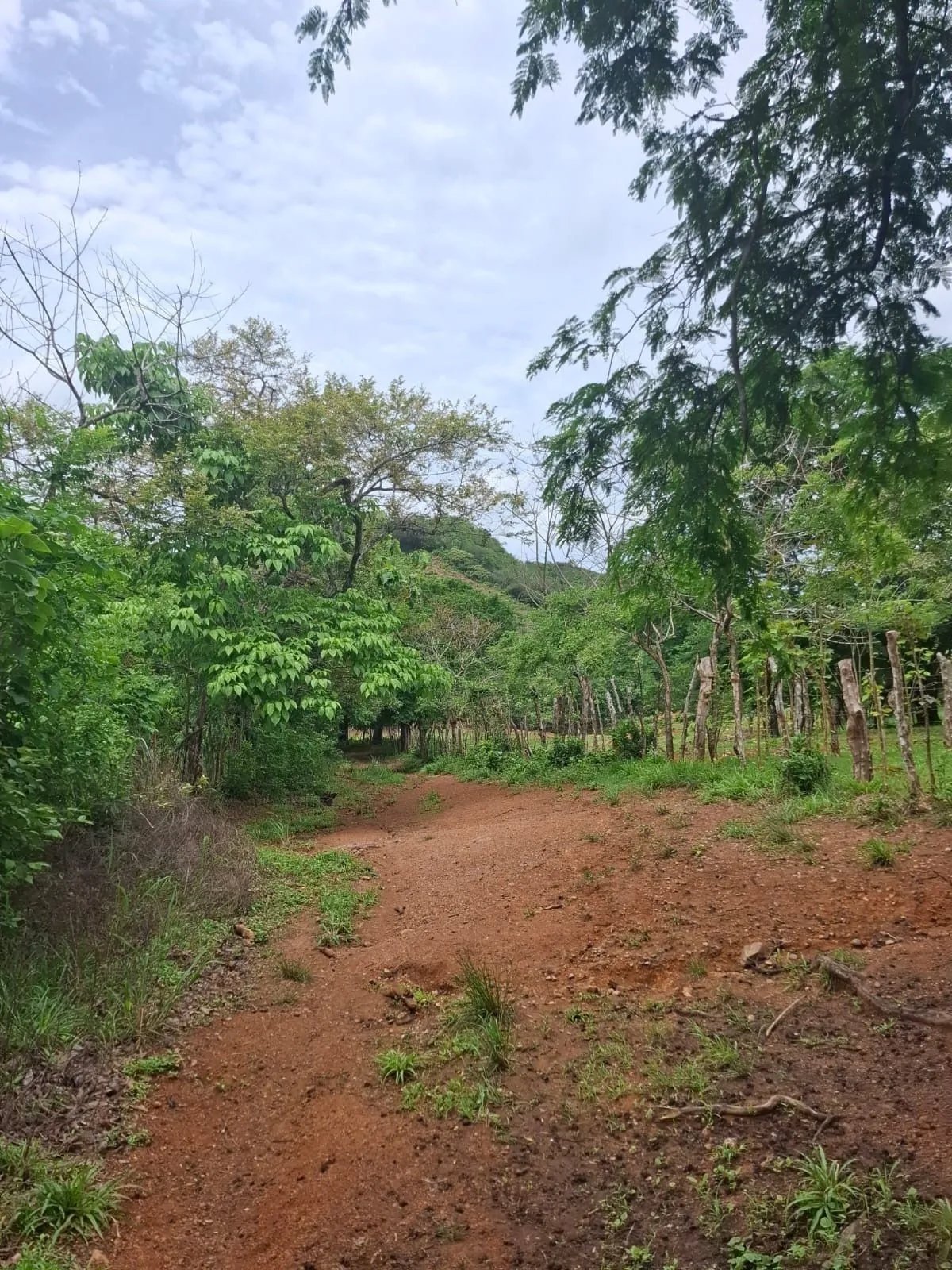 Terreno à Venda em Herrera
