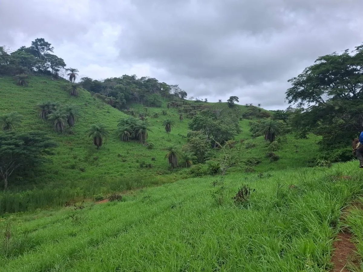 Building Lot for sale in Herrera