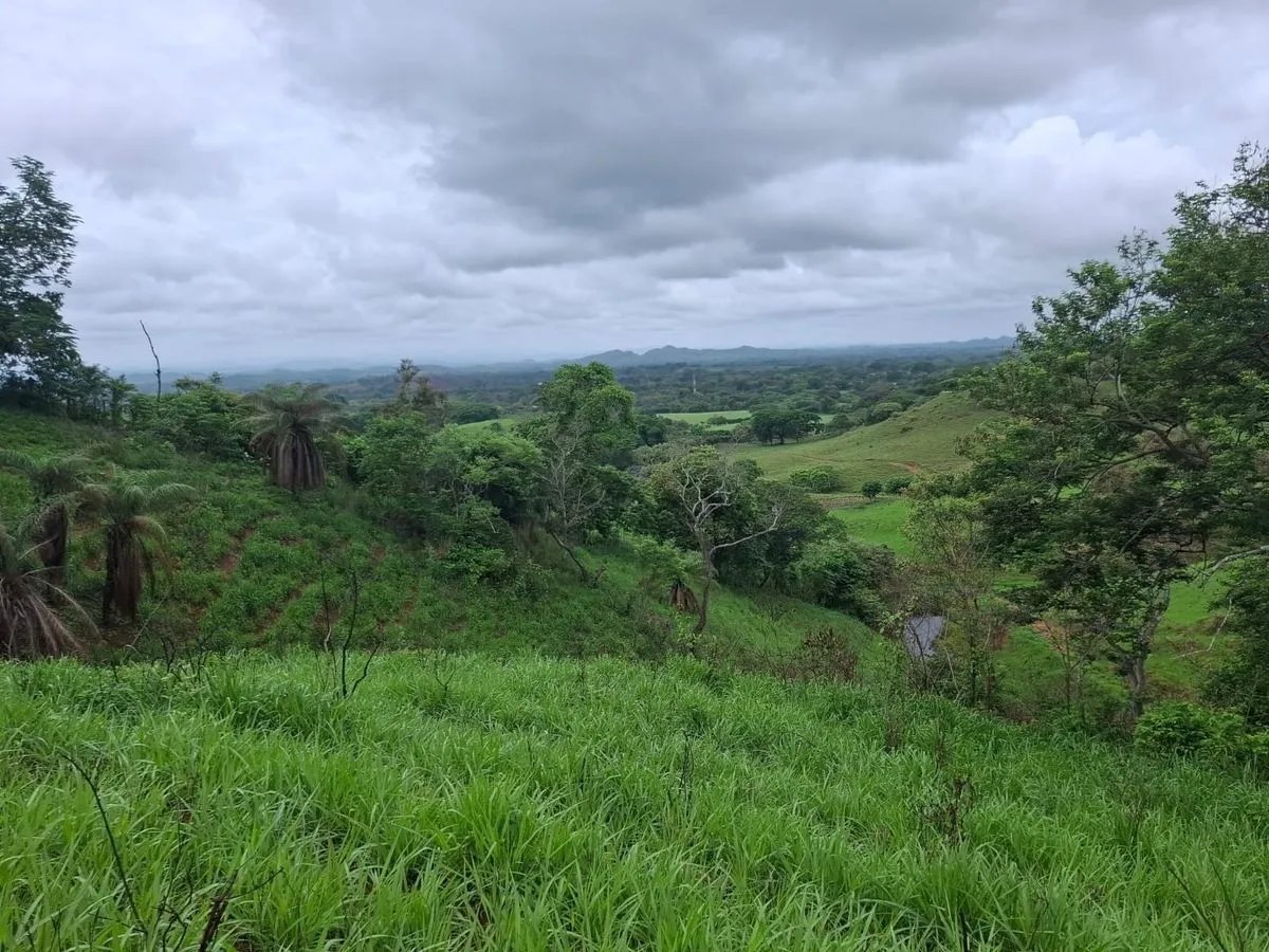 Building Lot for sale in Herrera