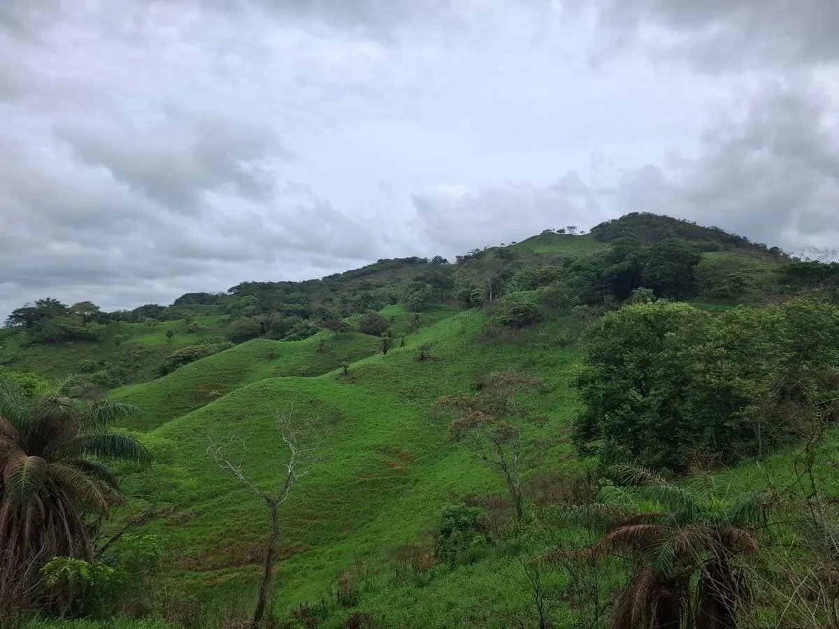 Building Lot for sale in Herrera