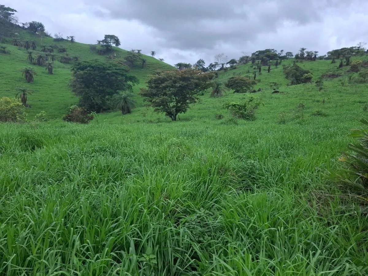 Building Lot for sale in Herrera