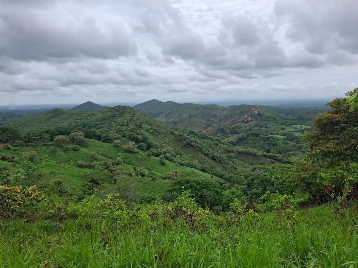 Building Lot for sale in Herrera