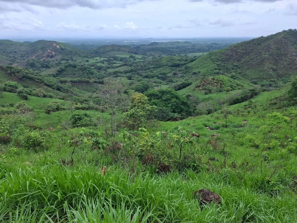 Building Lot for sale in Herrera