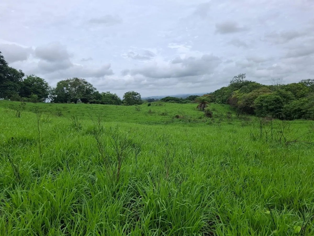 Building Lot for sale in Herrera