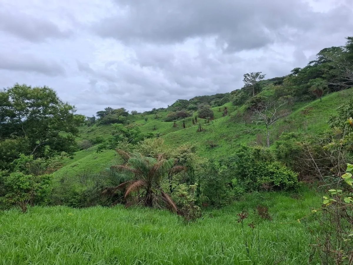 Building Lot for sale in Herrera