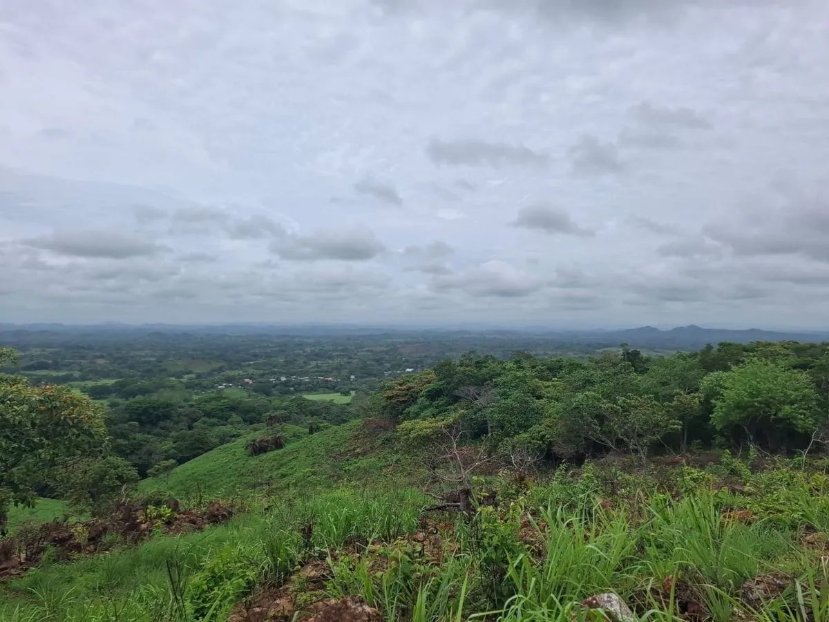 Building Lot for sale in Herrera