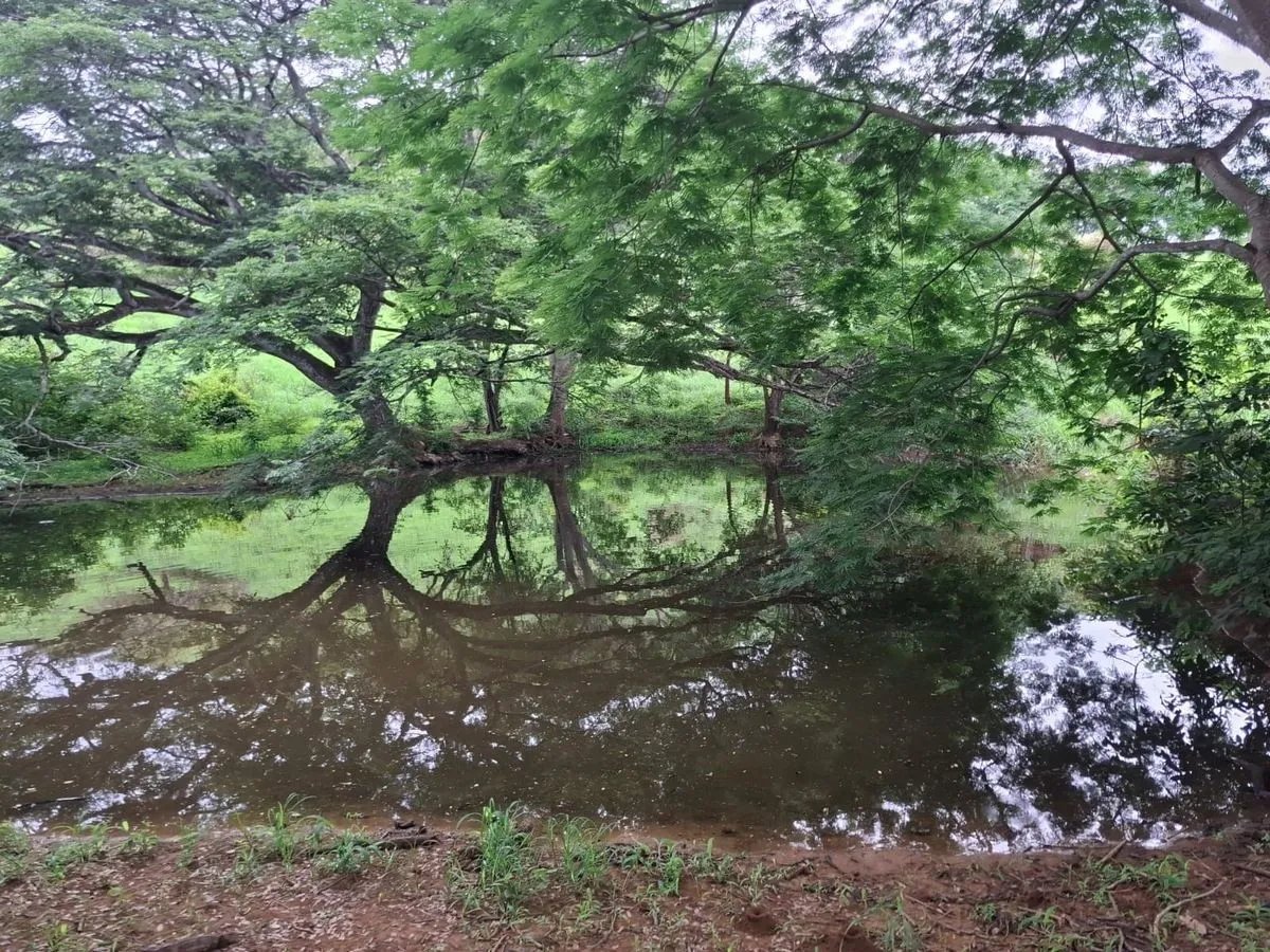 Building Lot for sale in Herrera
