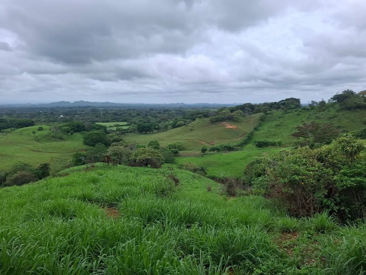 Building Lot for sale in Herrera