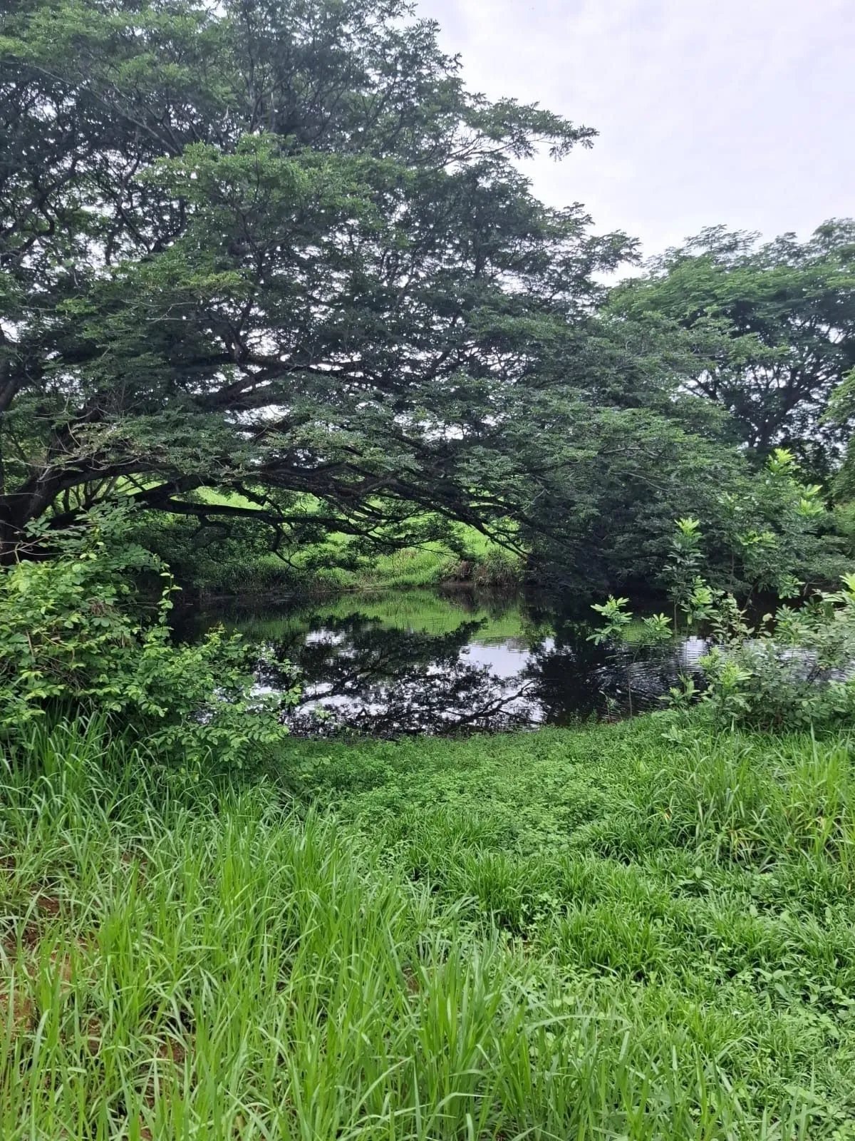 Building Lot for sale in Herrera