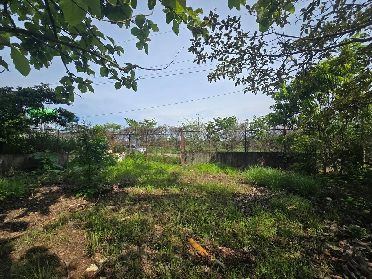 VENTA  O ALQUILER BODEGA FRENTE PANAMERICANA EN AGUADULCE