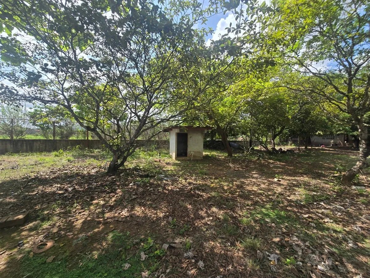 VENTA  O ALQUILER BODEGA FRENTE PANAMERICANA EN AGUADULCE
