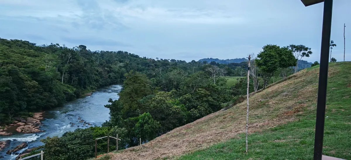 100-HECTARE FARM FOR SALE IN PASO REAL, PENONOMÉ, PANAMA
