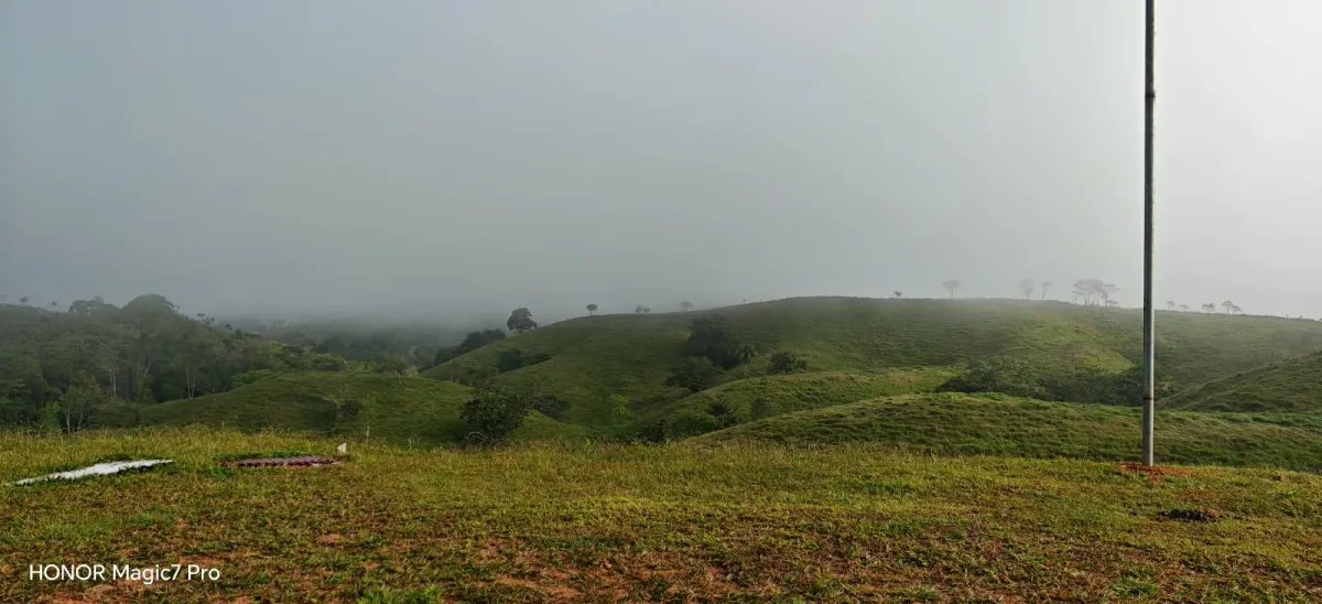 100-HECTARE FARM FOR SALE IN PASO REAL, PENONOMÉ, PANAMA