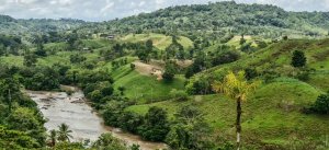 Terreno à Venda