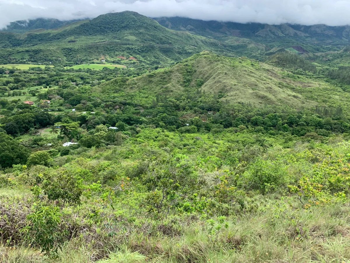 FINCA DE 39 HECTÁREAS CON RÍO EN SANTA FE, VERAGUAS, PANAMÁ