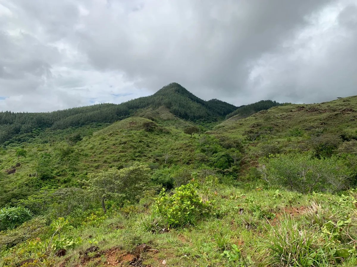 Terreno à Venda em Santa Fe