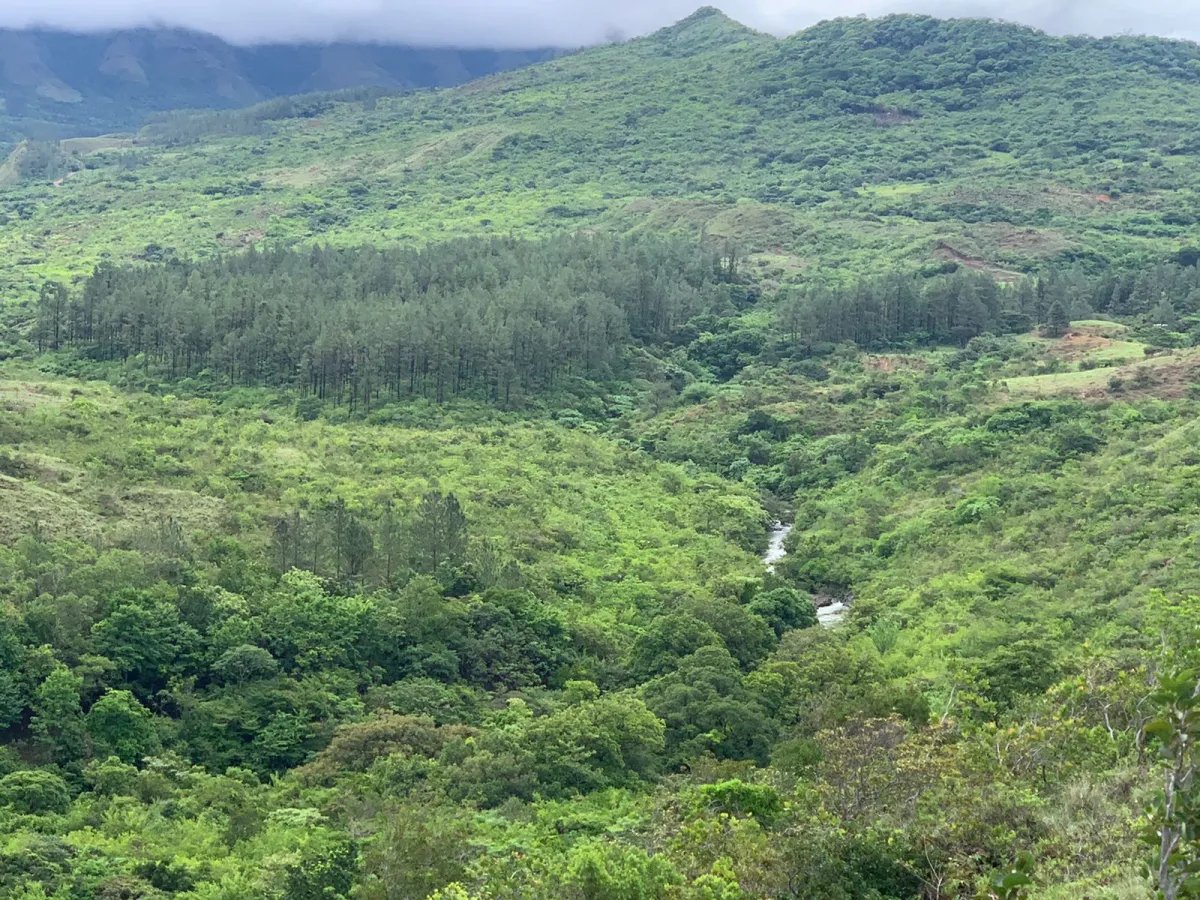 Terreno à Venda em Santa Fe