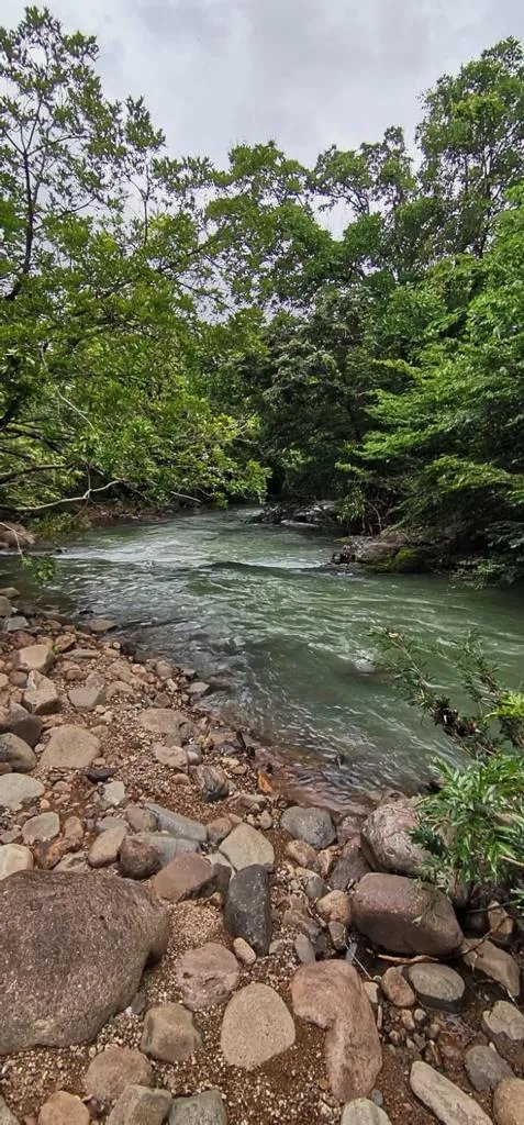 Terreno à Venda em Santa Fe