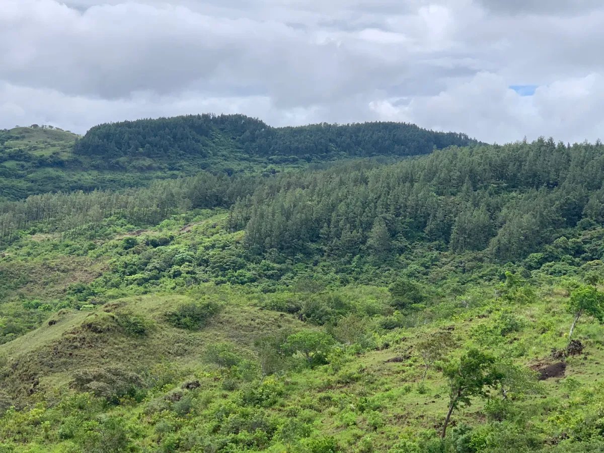 Terreno à Venda em Santa Fe