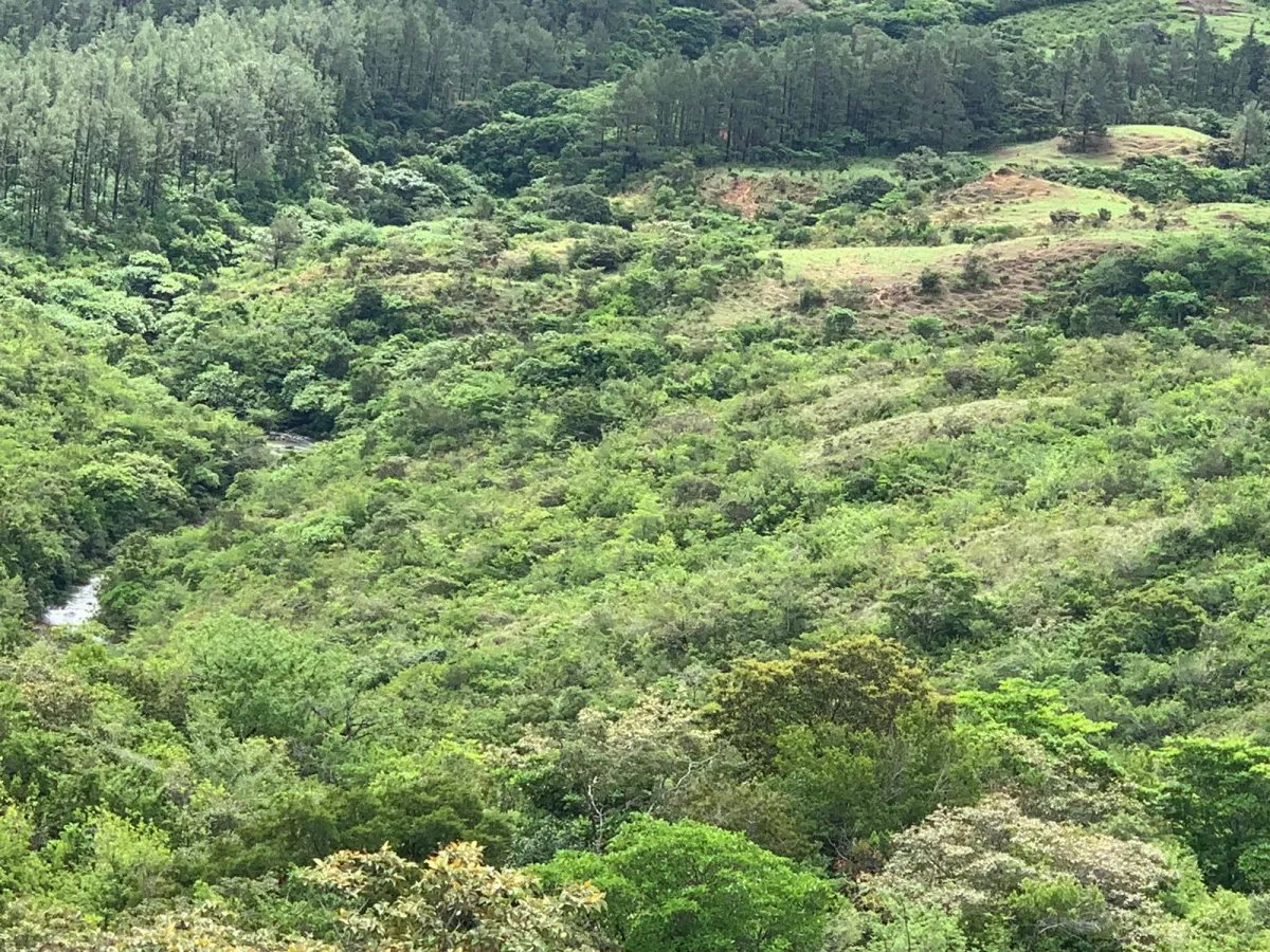 Terreno à Venda em Santa Fe