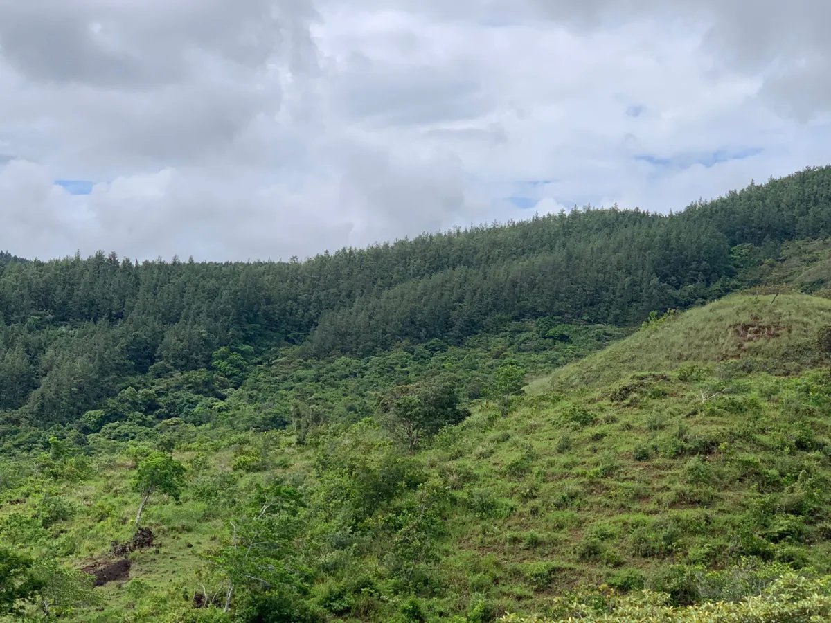 Terreno à Venda em Santa Fe