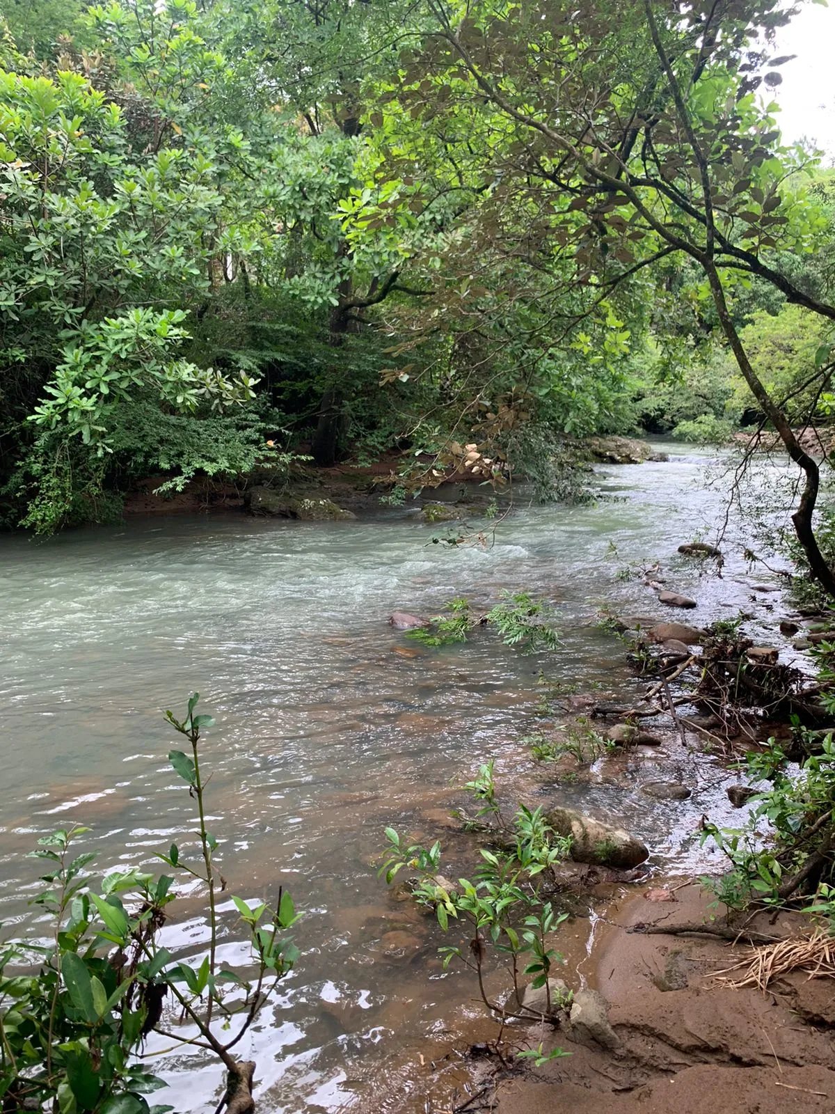 Terreno à Venda em Santa Fe