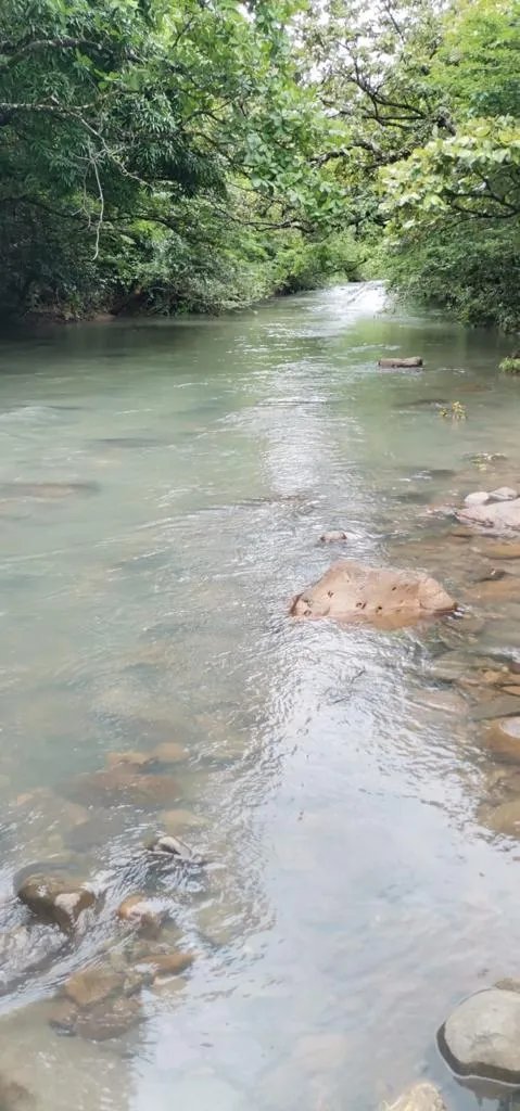 Terreno à Venda em Santa Fe