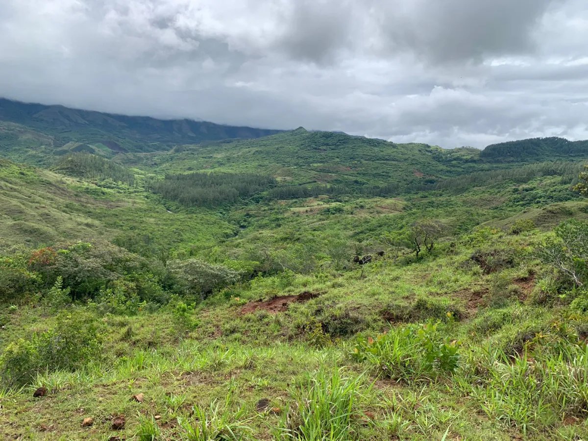 Terreno à Venda em Santa Fe