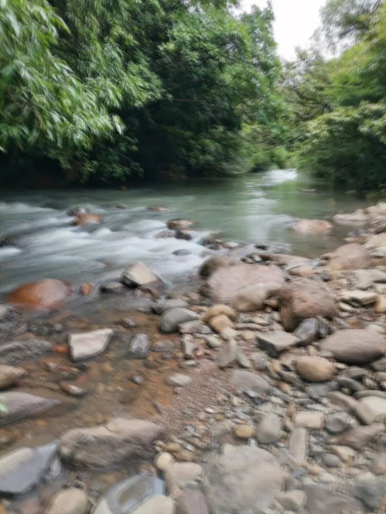 Terreno à Venda em Santa Fe