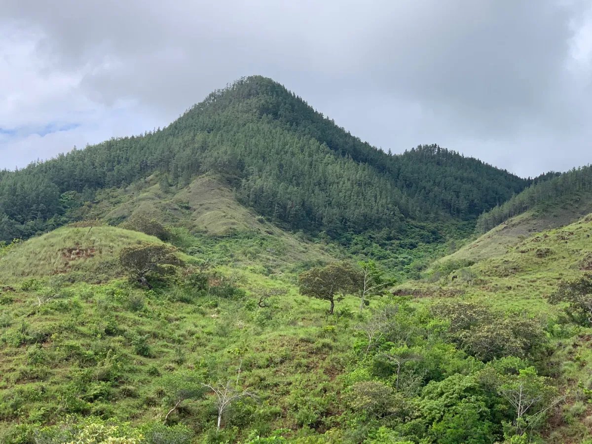 Terreno à Venda em Santa Fe