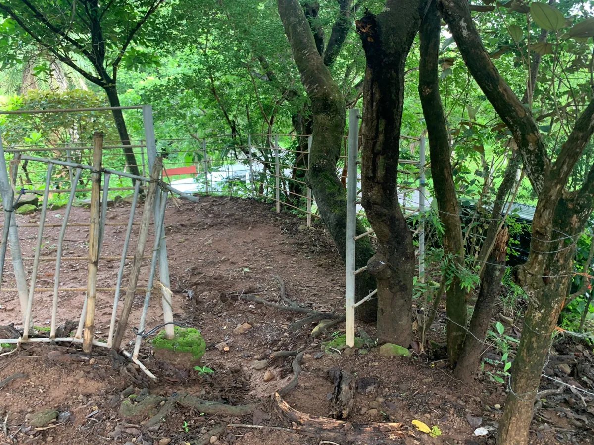 Terreno à Venda em Santa Fe