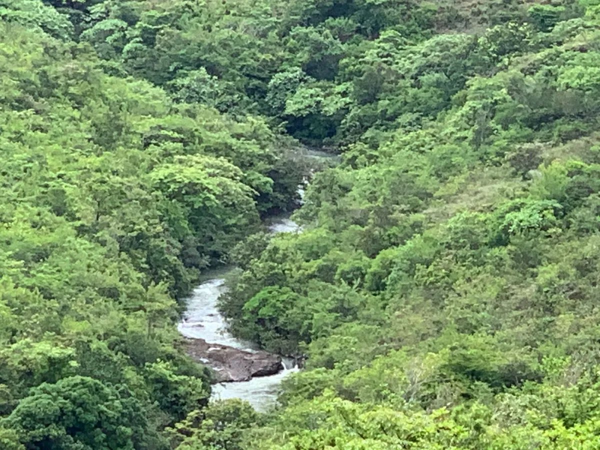 Terreno à Venda em Santa Fe