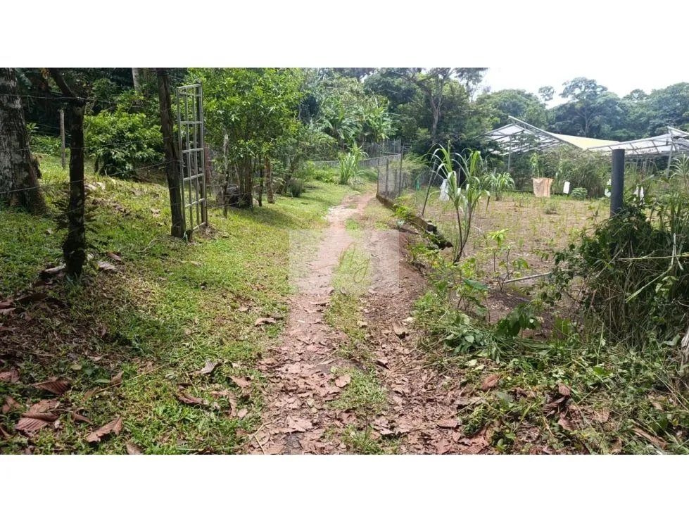Venta de Lote en Sorá, Chame
