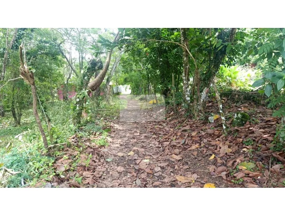 Venta de Lote en Sorá, Chame