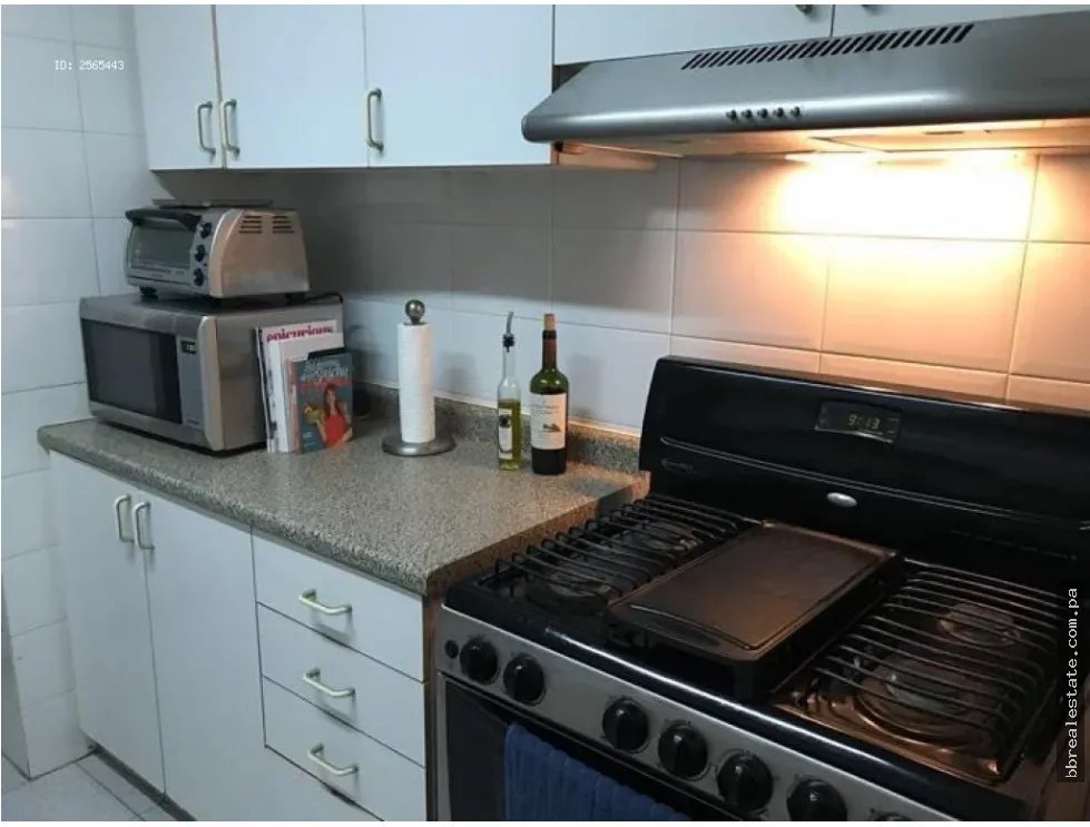 RENTAL IN EL CANGREJO PH LAS GARZAS 2 BEDROOMS FURNISHED