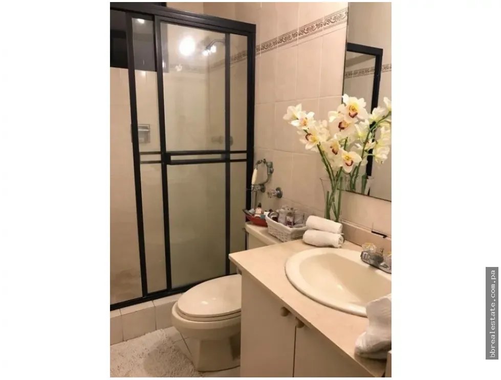 RENTAL IN EL CANGREJO PH LAS GARZAS 2 BEDROOMS FURNISHED