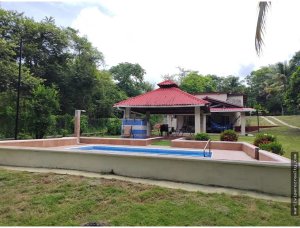 Sale of Estate with House in Cabuya
