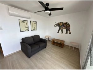 APARTMENT FOR RENT IN SAN FRANCISCO