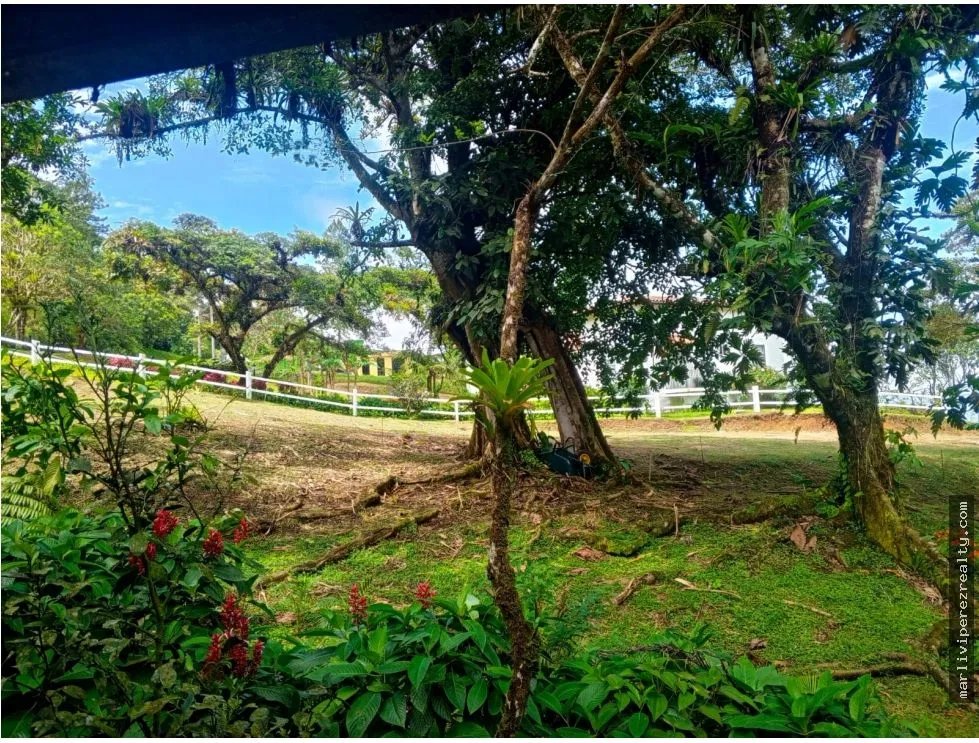 Casa à Venda em Chame
