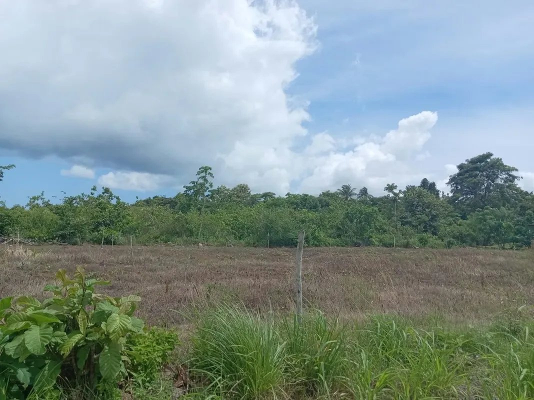 Terreno à Venda em Rodeo Viejo